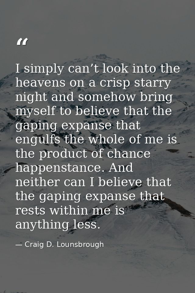 I simply can’t look into the heavens on a crisp starry night and somehow bring myself to believe that the gaping expanse — Craig D. Lounsbrough