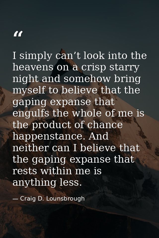 I simply can’t look into the heavens on a crisp starry night and somehow bring myself to believe that the gaping expanse — Craig D. Lounsbrough