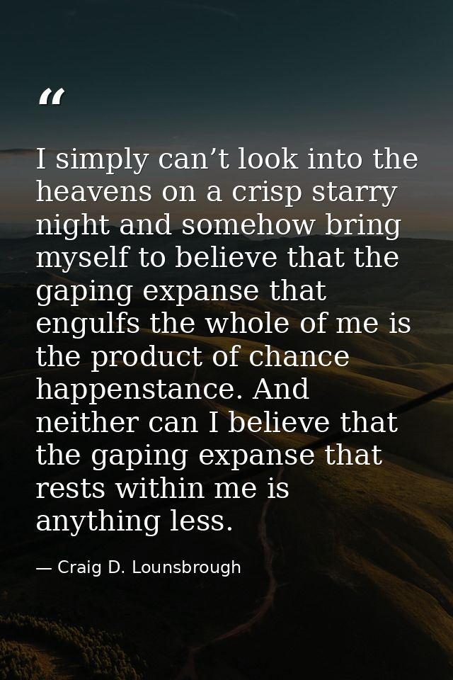 I simply can’t look into the heavens on a crisp starry night and somehow bring myself to believe that the gaping expanse — Craig D. Lounsbrough