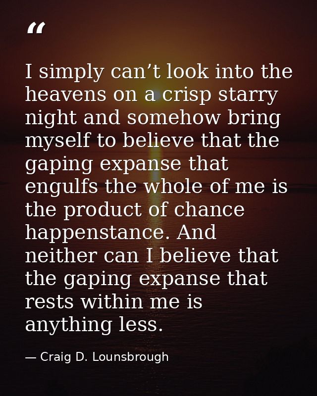 I simply can’t look into the heavens on a crisp starry night and somehow bring myself to believe that the gaping expanse — Craig D. Lounsbrough