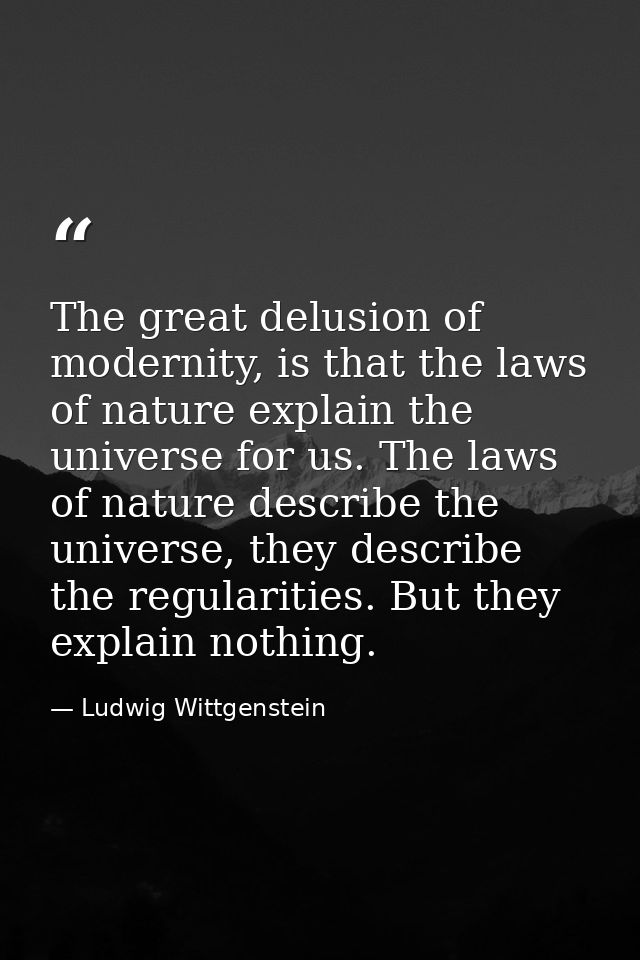 The great delusion of modernity, is that the laws of nature explain the universe for us. The laws of nature describe the — Ludwig Wittgenstein