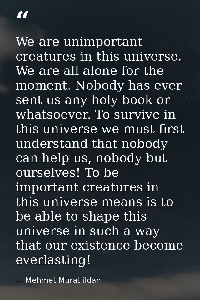 We are unimportant creatures in this universe. We are all alone for the moment. Nobody has ever sent us any holy book or — Mehmet Murat ildan