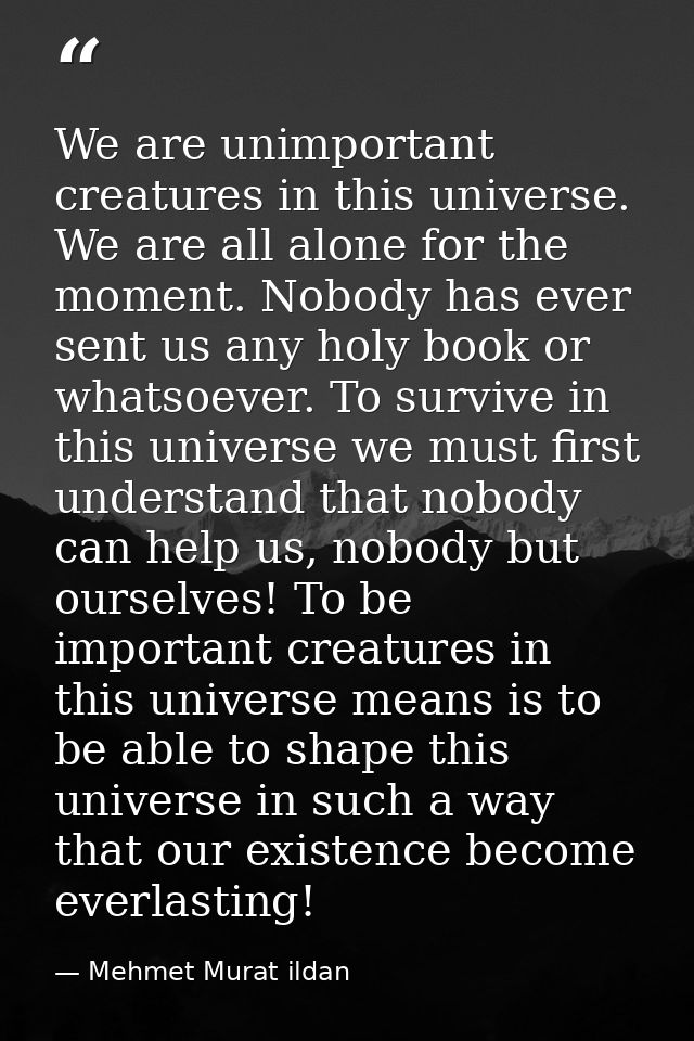 We are unimportant creatures in this universe. We are all alone for the moment. Nobody has ever sent us any holy book or — Mehmet Murat ildan