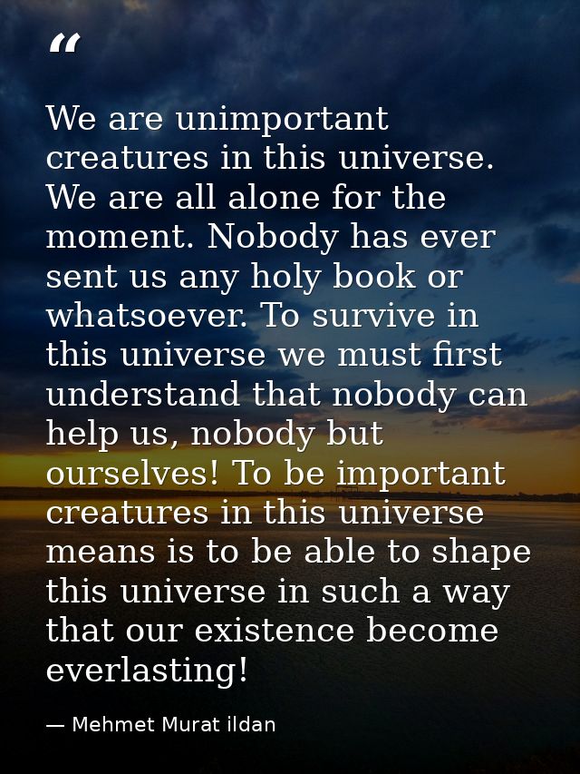 We are unimportant creatures in this universe. We are all alone for the moment. Nobody has ever sent us any holy book or — Mehmet Murat ildan