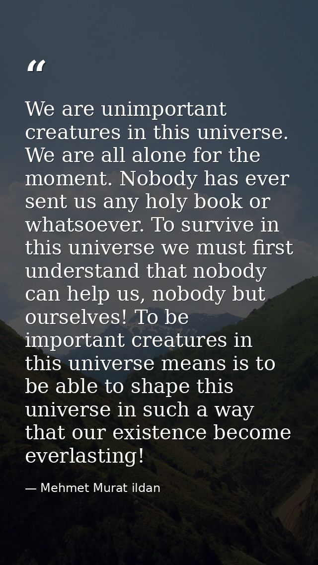 We are unimportant creatures in this universe. We are all alone for the moment. Nobody has ever sent us any holy book or — Mehmet Murat ildan
