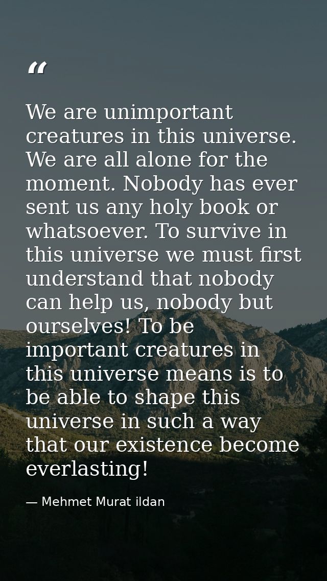 We are unimportant creatures in this universe. We are all alone for the moment. Nobody has ever sent us any holy book or — Mehmet Murat ildan