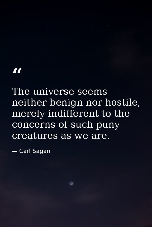 The universe seems neither benign nor hostile, merely indifferent to the concerns of such puny creatures as we are. — Carl Sagan