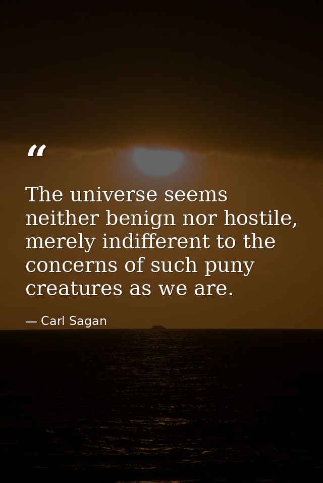 The universe seems neither benign nor hostile, merely indifferent to the concerns of such puny creatures as we are. — Carl Sagan