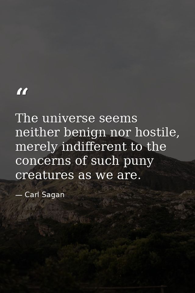 The universe seems neither benign nor hostile, merely indifferent to the concerns of such puny creatures as we are. — Carl Sagan