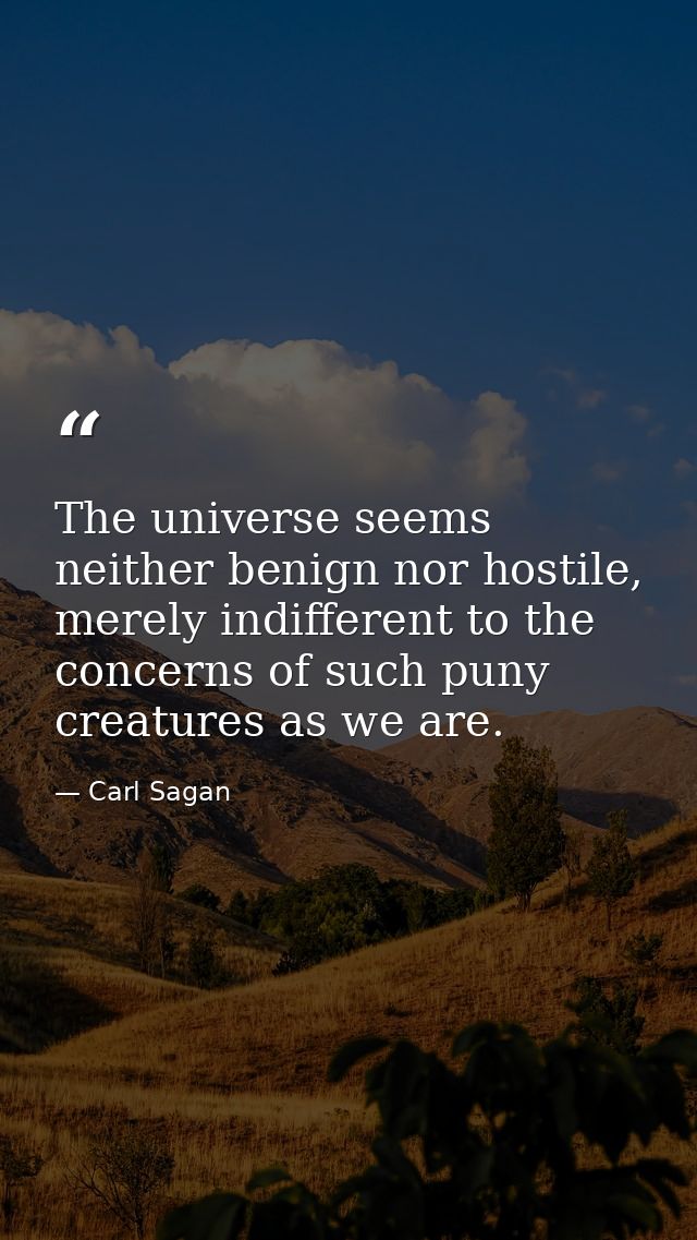 The universe seems neither benign nor hostile, merely indifferent to the concerns of such puny creatures as we are. — Carl Sagan