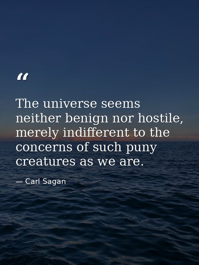 The universe seems neither benign nor hostile, merely indifferent to the concerns of such puny creatures as we are. — Carl Sagan