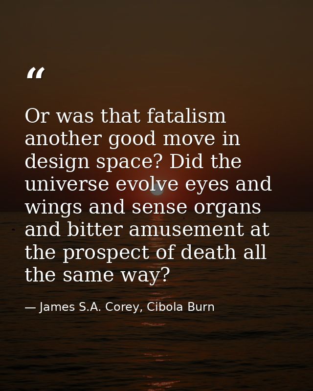 Or was that fatalism another good move in design space? Did the universe evolve eyes and wings and sense organs and bitt — James S.A. Corey, Cibola Burn