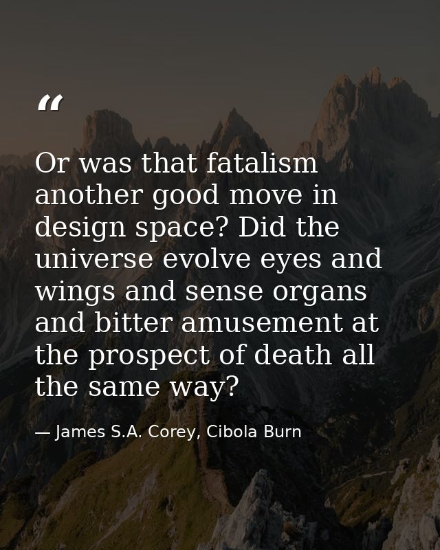 Or was that fatalism another good move in design space? Did the universe evolve eyes and wings and sense organs and bitt — James S.A. Corey, Cibola Burn