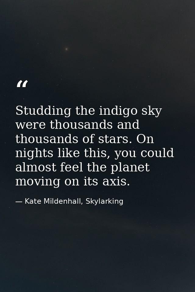 Studding the indigo sky were thousands and thousands of stars. On nights like this, you could almost feel the planet mov — Kate Mildenhall, Skylarking