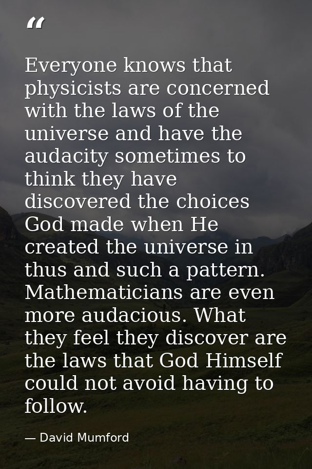 Everyone knows that physicists are concerned with the laws of the universe and have the audacity sometimes to think they — David Mumford