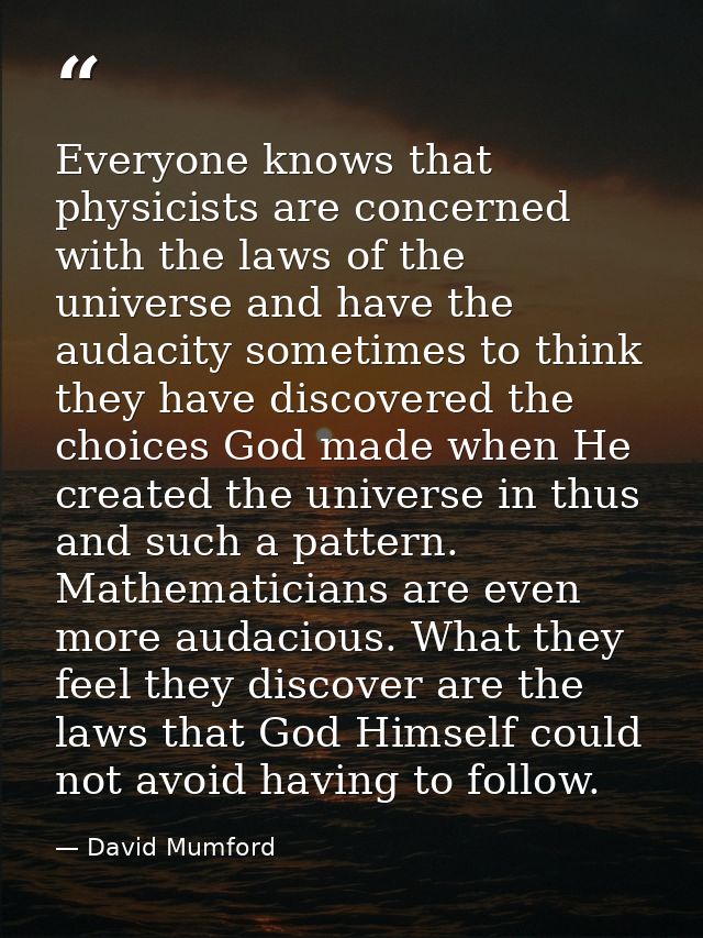 Everyone knows that physicists are concerned with the laws of the universe and have the audacity sometimes to think they — David Mumford