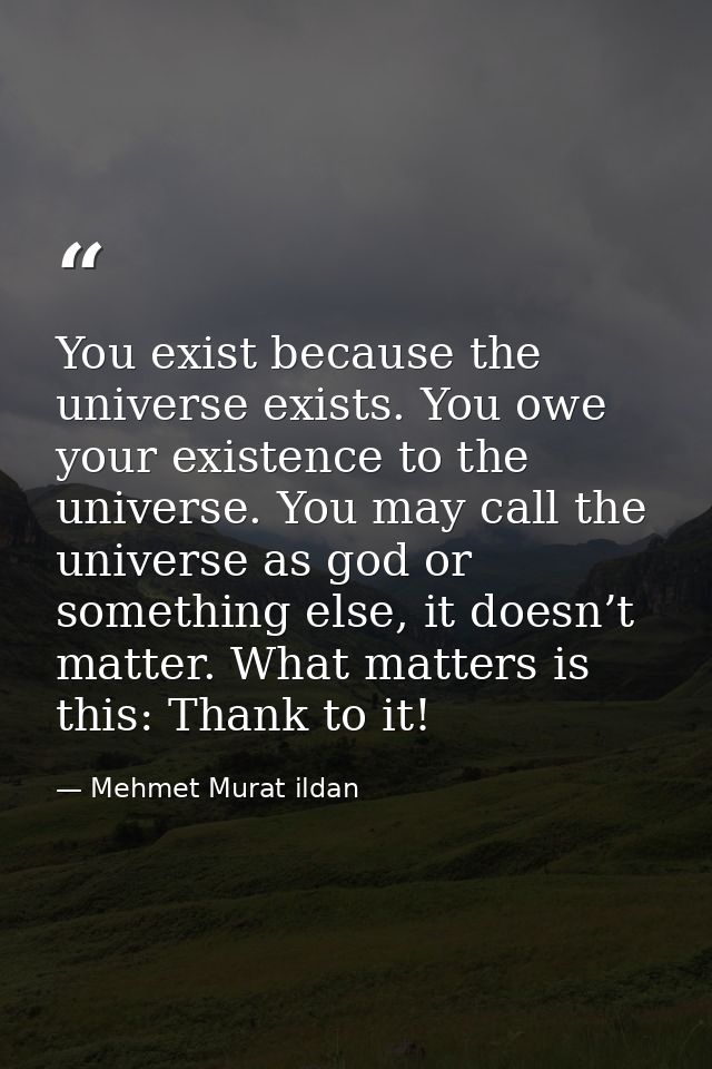 You exist because the universe exists. You owe your existence to the universe. You may call the universe as god or somet — Mehmet Murat ildan