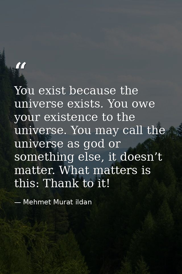 You exist because the universe exists. You owe your existence to the universe. You may call the universe as god or somet — Mehmet Murat ildan