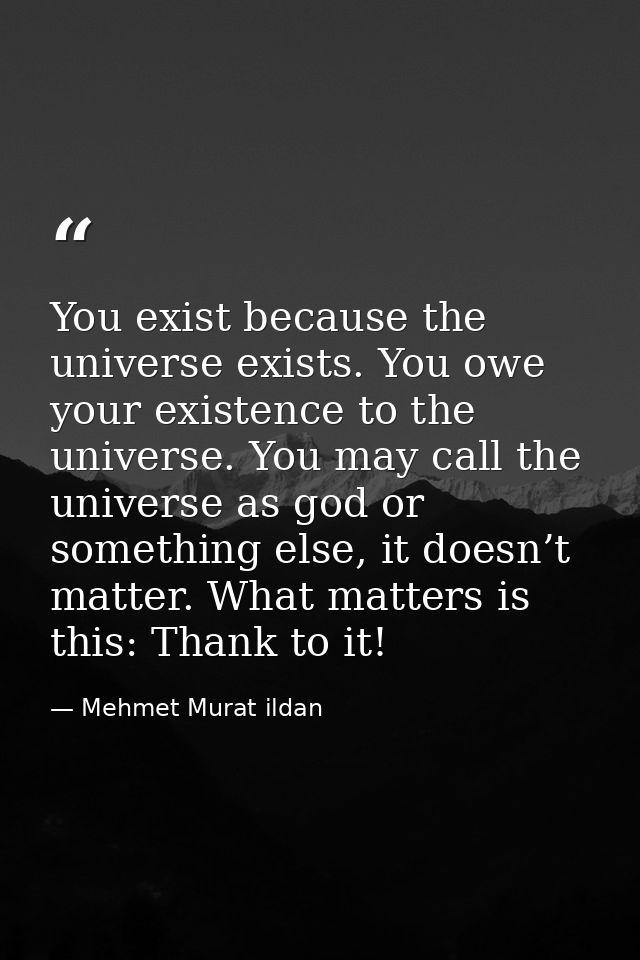 You exist because the universe exists. You owe your existence to the universe. You may call the universe as god or somet — Mehmet Murat ildan
