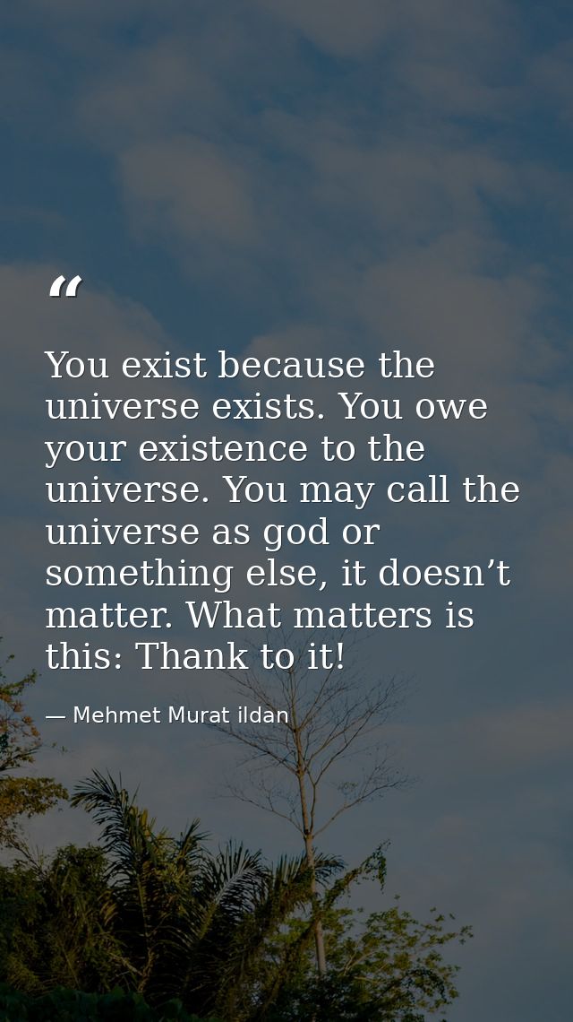 You exist because the universe exists. You owe your existence to the universe. You may call the universe as god or somet — Mehmet Murat ildan