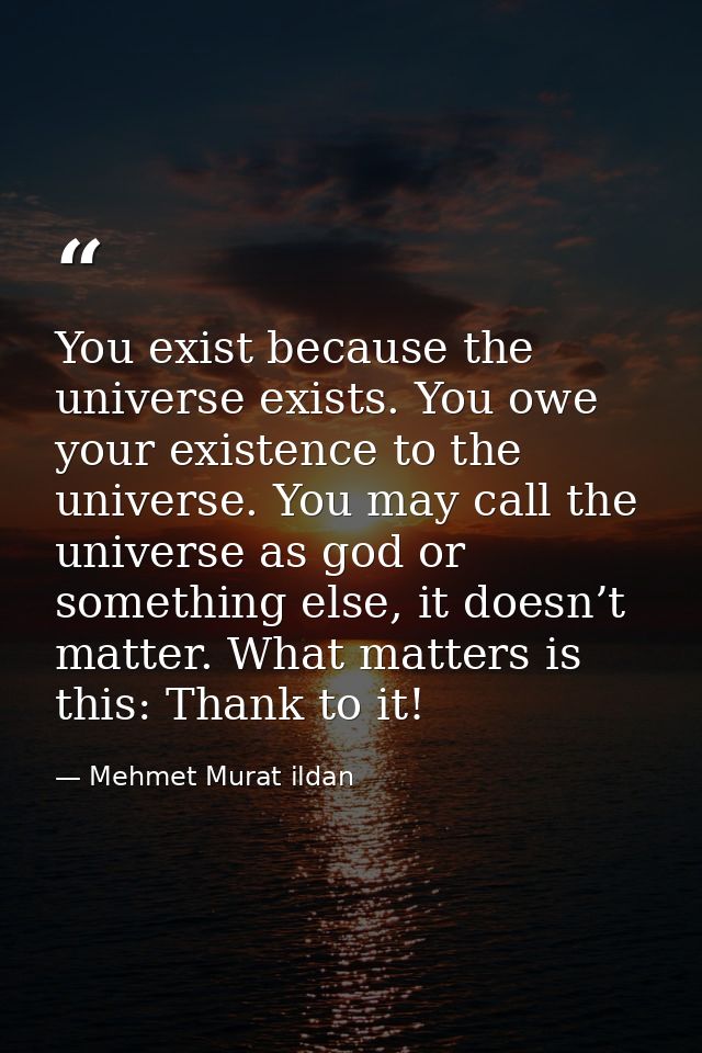 You exist because the universe exists. You owe your existence to the universe. You may call the universe as god or somet — Mehmet Murat ildan