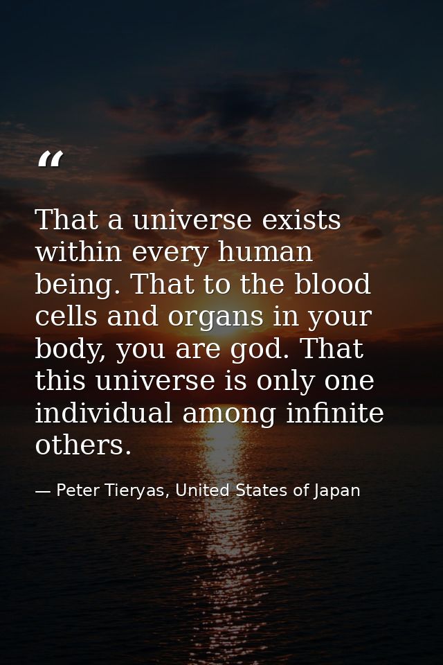 That a universe exists within every human being. That to the blood cells and organs in your body, you are god. That this — Peter Tieryas, United States of Japan