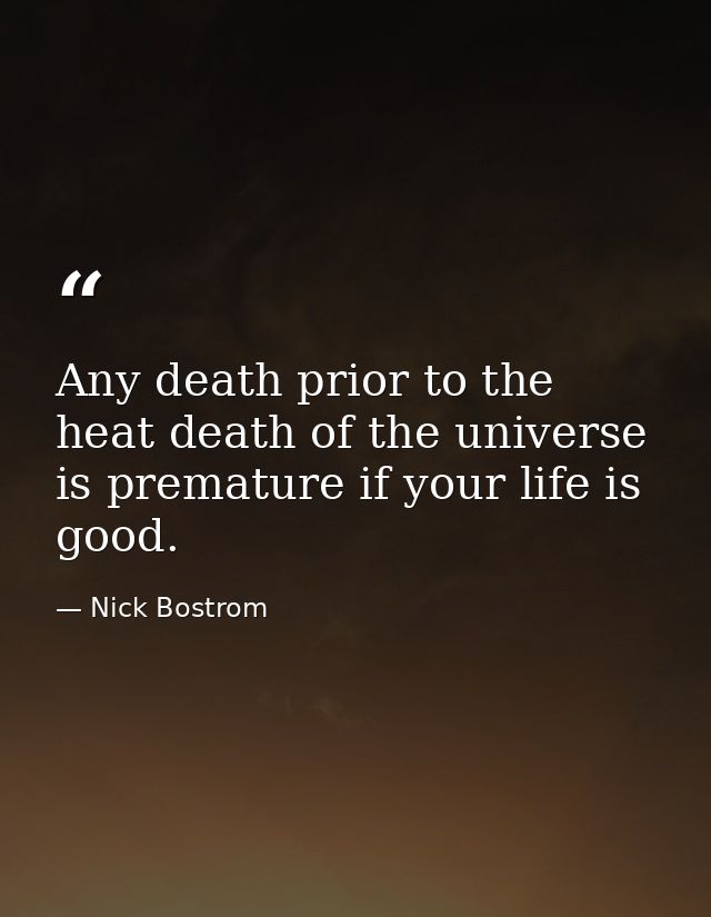 Any death prior to the heat death of the universe is premature if your life is good. — Nick Bostrom