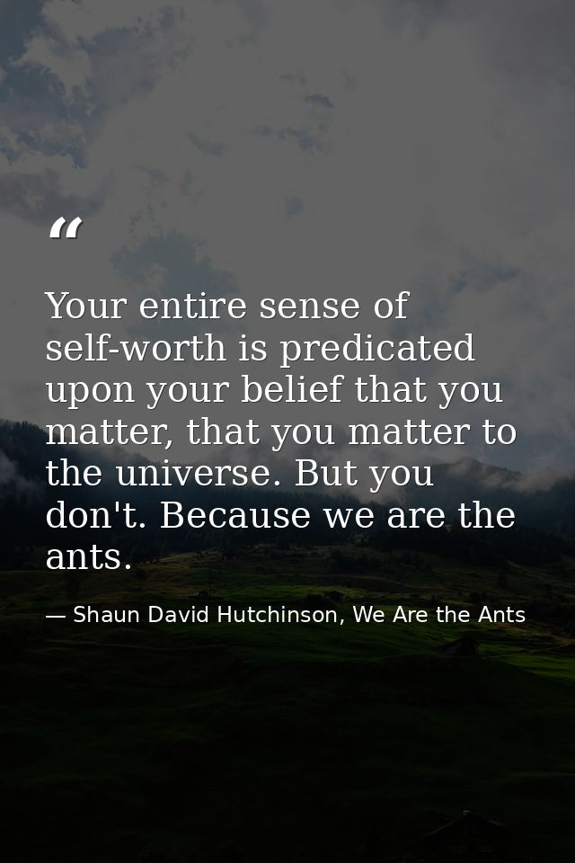 Your entire sense of self-worth is predicated upon your belief that you matter, that you matter to the universe. But you — Shaun David Hutchinson, We Are the Ants