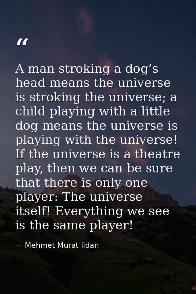 A man stroking a dog’s head means the universe is stroking the universe; a child playing with a little dog means the uni — Mehmet Murat ildan