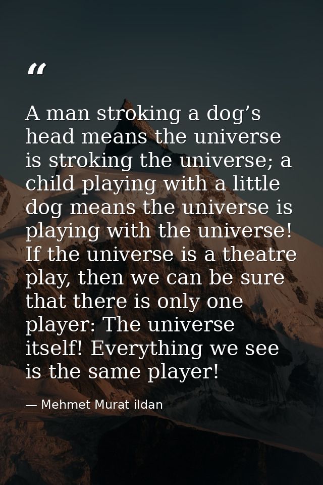 A man stroking a dog’s head means the universe is stroking the universe; a child playing with a little dog means the uni — Mehmet Murat ildan