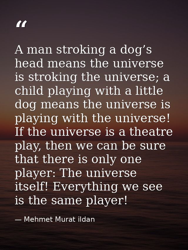 A man stroking a dog’s head means the universe is stroking the universe; a child playing with a little dog means the uni — Mehmet Murat ildan