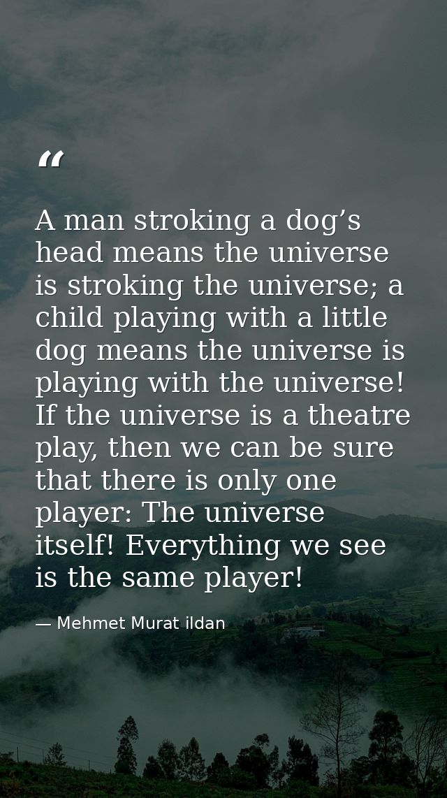 A man stroking a dog’s head means the universe is stroking the universe; a child playing with a little dog means the uni — Mehmet Murat ildan