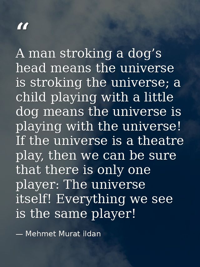 A man stroking a dog’s head means the universe is stroking the universe; a child playing with a little dog means the uni — Mehmet Murat ildan