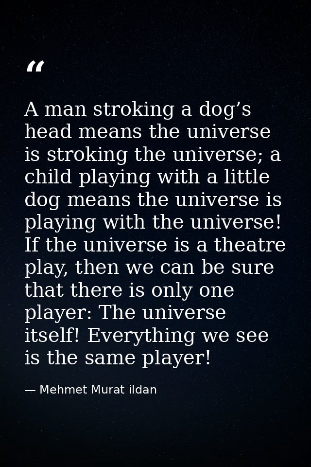 A man stroking a dog’s head means the universe is stroking the universe; a child playing with a little dog means the uni — Mehmet Murat ildan