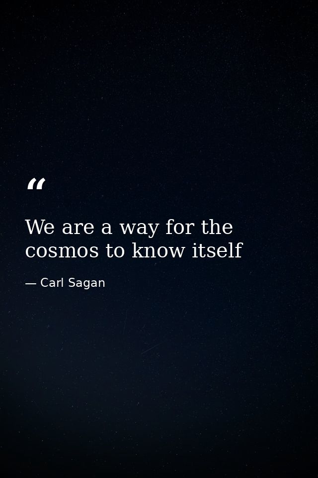 We are a way for the cosmos to know itself — Carl Sagan
