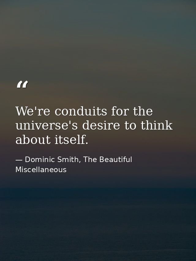 We're conduits for the universe's desire to think about itself. — Dominic Smith, The Beautiful Miscellaneous