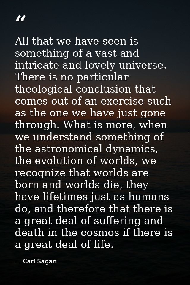 All that we have seen is something of a vast and intricate and lovely universe. There is no particular theological concl — Carl Sagan
