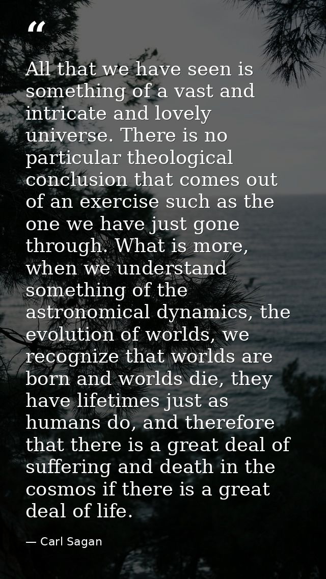 All that we have seen is something of a vast and intricate and lovely universe. There is no particular theological concl — Carl Sagan