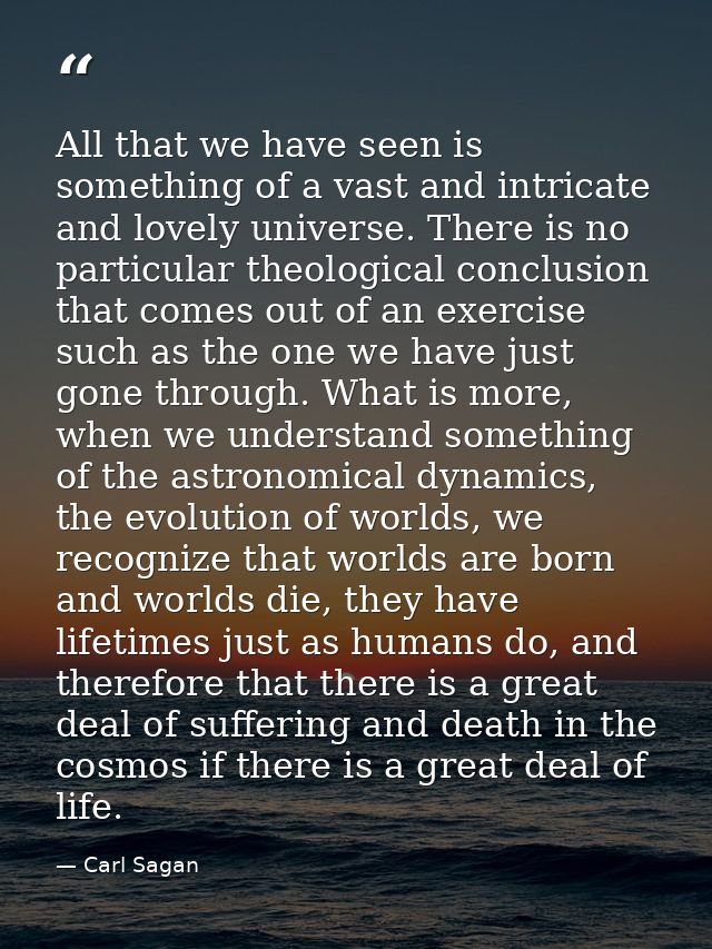 All that we have seen is something of a vast and intricate and lovely universe. There is no particular theological concl — Carl Sagan