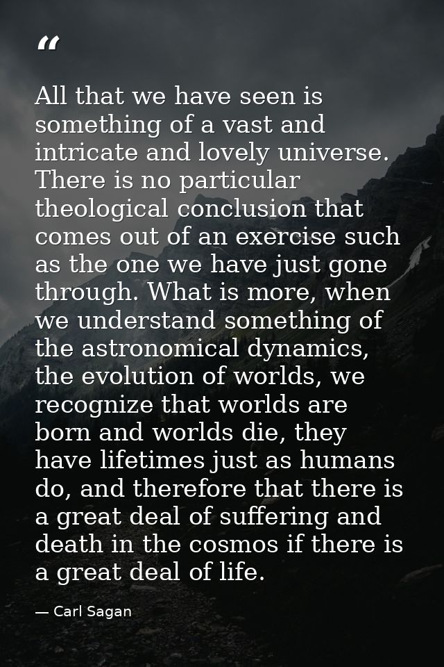 All that we have seen is something of a vast and intricate and lovely universe. There is no particular theological concl — Carl Sagan