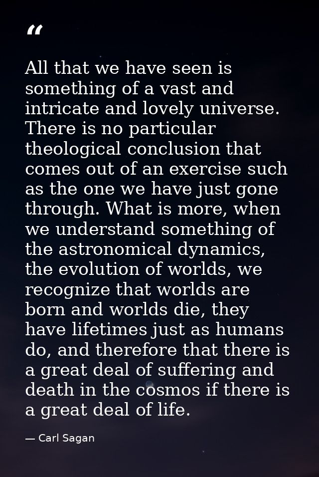 All that we have seen is something of a vast and intricate and lovely universe. There is no particular theological concl — Carl Sagan