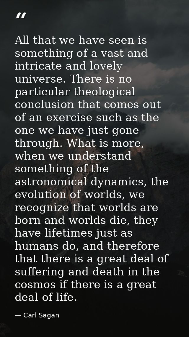 All that we have seen is something of a vast and intricate and lovely universe. There is no particular theological concl — Carl Sagan