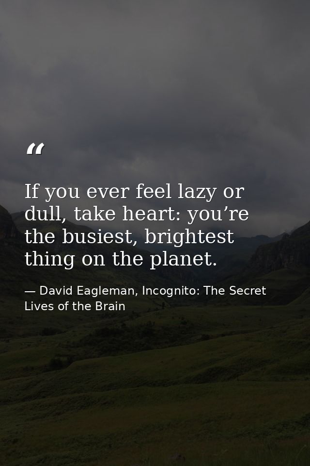 If you ever feel lazy or dull, take heart: you’re the busiest, brightest thing on the planet. — David Eagleman, Incognito: The Secret Lives of the Brain