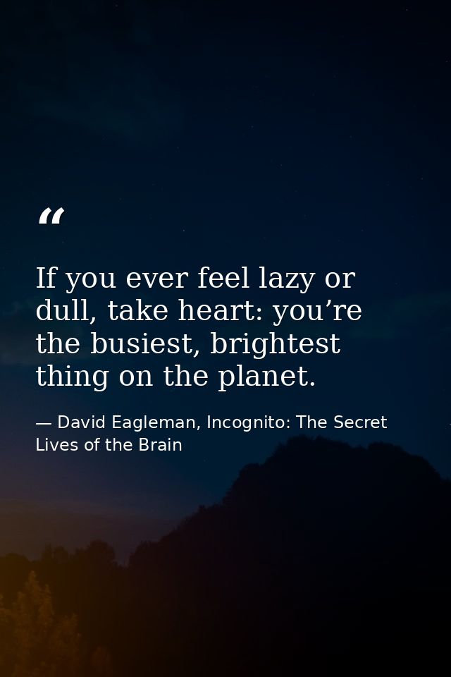 If you ever feel lazy or dull, take heart: you’re the busiest, brightest thing on the planet. — David Eagleman, Incognito: The Secret Lives of the Brain