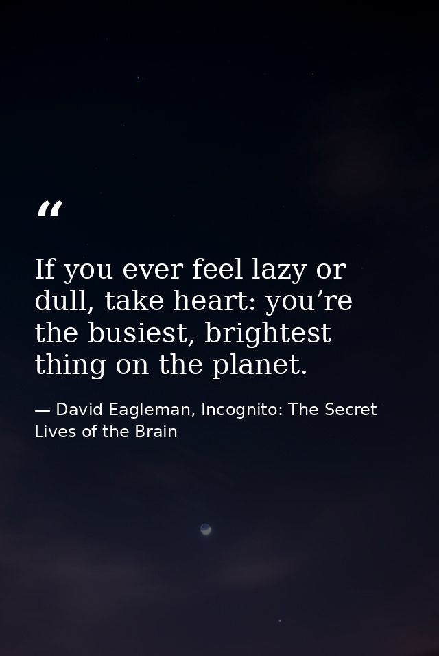 If you ever feel lazy or dull, take heart: you’re the busiest, brightest thing on the planet. — David Eagleman, Incognito: The Secret Lives of the Brain