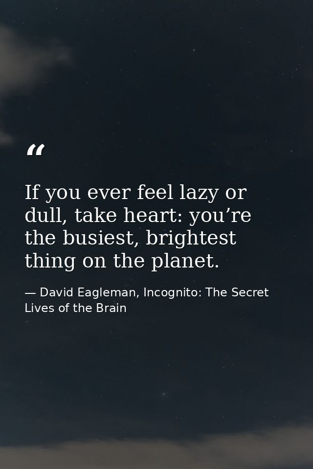 If you ever feel lazy or dull, take heart: you’re the busiest, brightest thing on the planet. — David Eagleman, Incognito: The Secret Lives of the Brain
