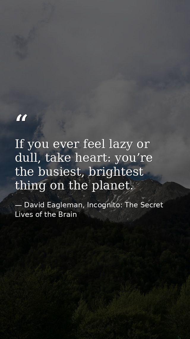 If you ever feel lazy or dull, take heart: you’re the busiest, brightest thing on the planet. — David Eagleman, Incognito: The Secret Lives of the Brain