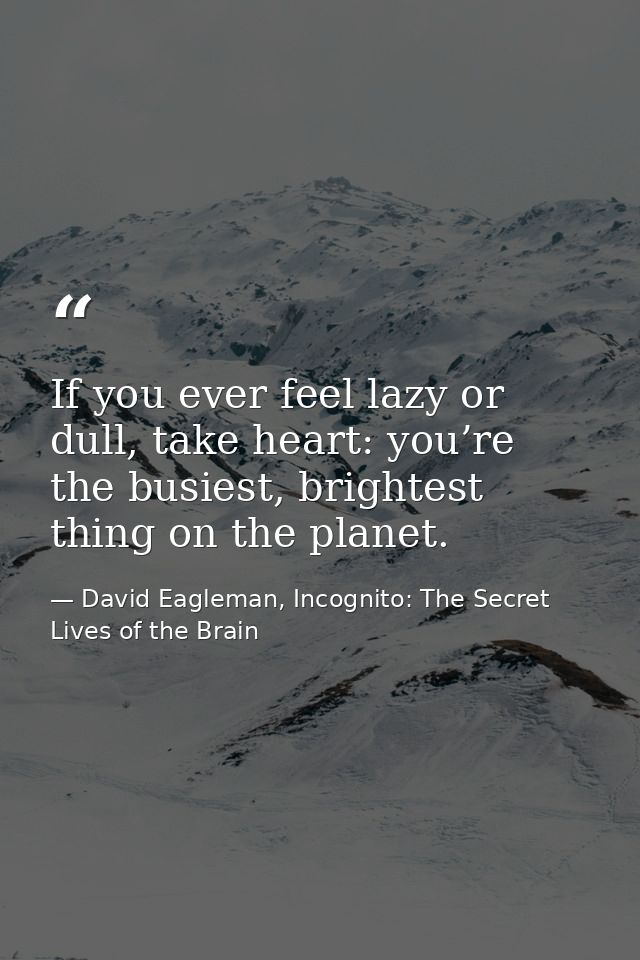 If you ever feel lazy or dull, take heart: you’re the busiest, brightest thing on the planet. — David Eagleman, Incognito: The Secret Lives of the Brain