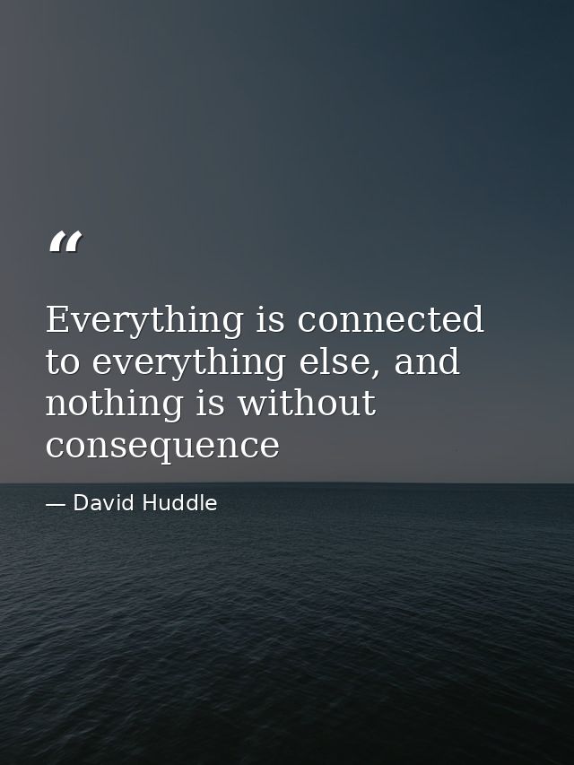 Everything is connected to everything else, and nothing is without consequence — David Huddle