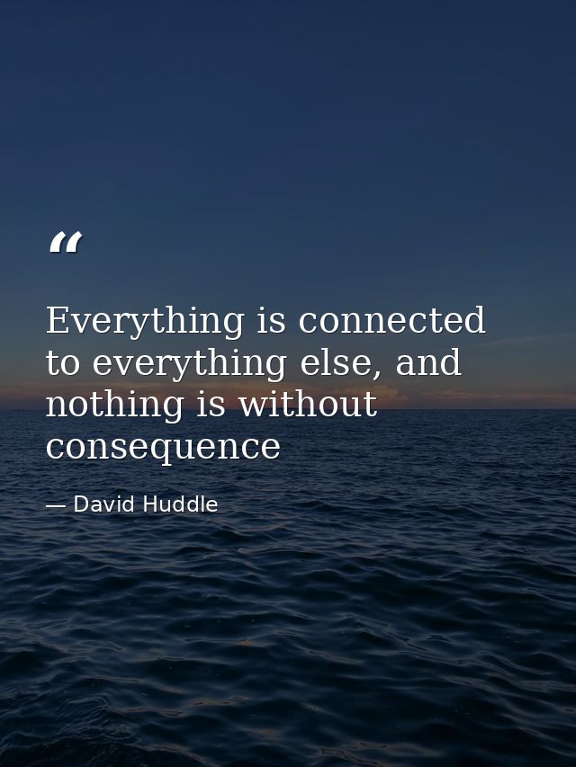 Everything is connected to everything else, and nothing is without consequence — David Huddle